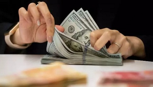 अमेरिकी डलरको भाउ बढ्यो, अन्य विदेशी मुद्राको विनिमयदर कति ?